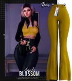 Blossom// #6 Yellow - Patsy Pants