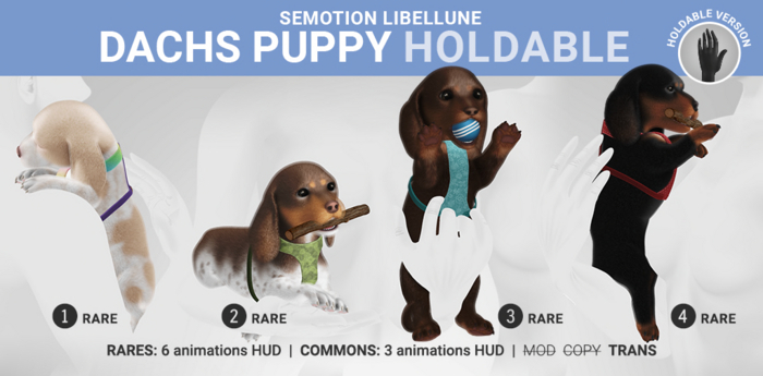 2. SEmotion Libellune Dachs Puppy Holdable RARE