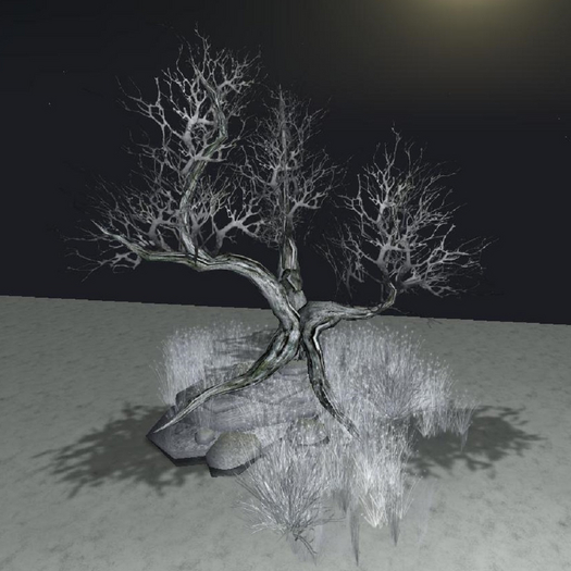 -MBC-winter Tree with Rocks