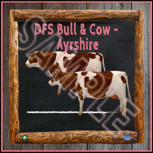 TEXTURE - DFS Bull & Cow - Ayrshire (Full Perm)