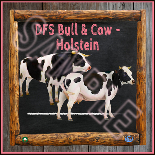 TEXTURE - DFS Bull & Cow - Holstein (Full Perm)