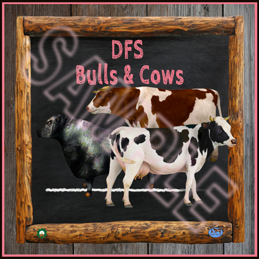 TEXTURE - DFS Bulls & Cows (Full Perm)