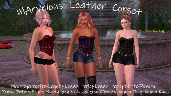 Marvelous Leather Corset