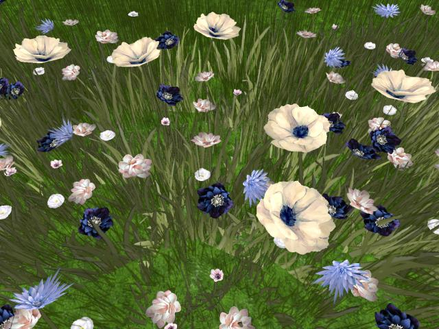 RW - spring summer flower grass patch 4 *Bouddi* c/m