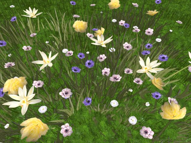 RW - spring summer flower grass patch 5 *Bouddi* c/m