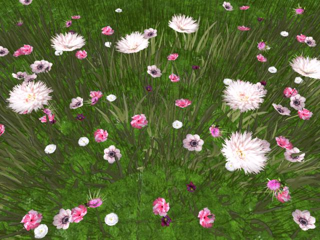 RW - spring summer flower grass patch 6 *Bouddi* c/m