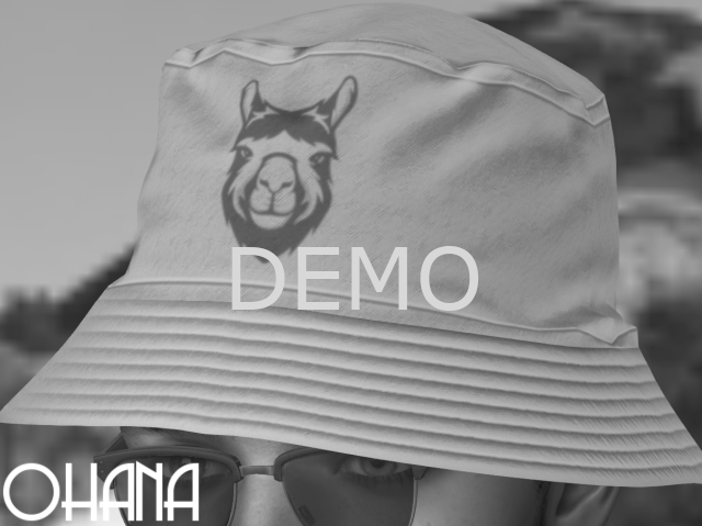 Ohana Llama Bucket DEMO