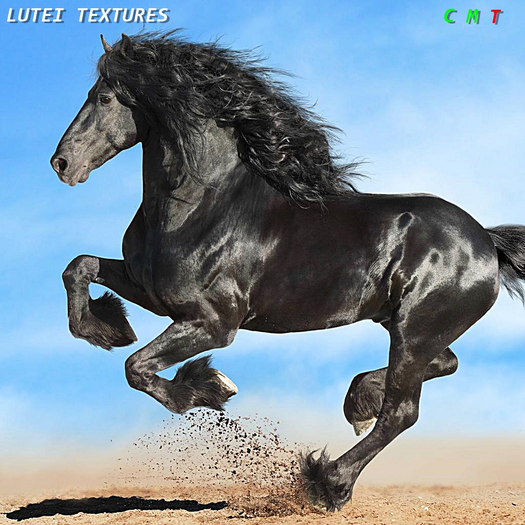 [LUTEI] Galloping Horse