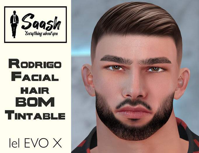 <..Saash..>Beard  Rodrigo EvoX