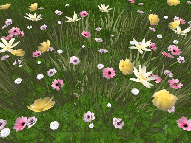 RW - spring summer flower grass patch 7 *Bouddi* c/m