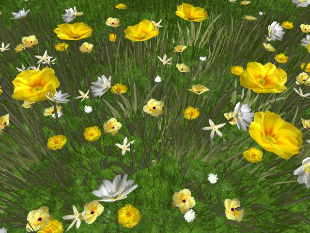 RW - spring summer flower grass patch 9 *Bouddi* c/m