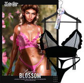 Apple Blossom // Kato Bikini No.2