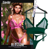 Apple Blossom // Kato Bikini No.14