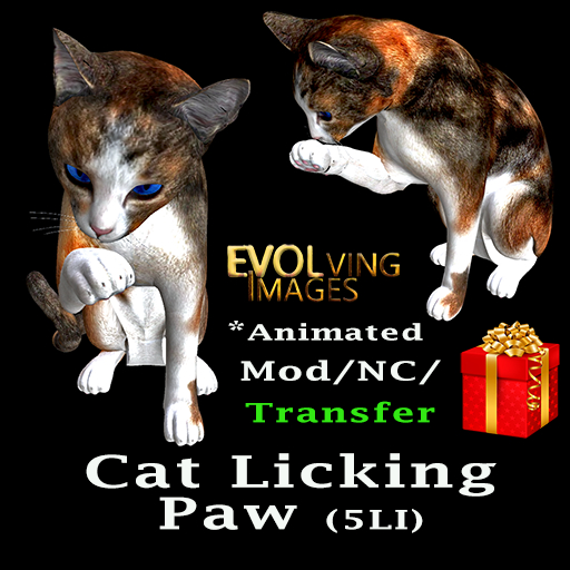 Cat Licking Paw Giftable