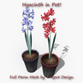 T-Spot Mesh - Hyacinth in Pot - FP - LI=1.0