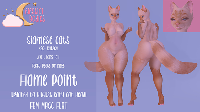 "+Celestial Bodies+" Siamese Cat - Flame Point