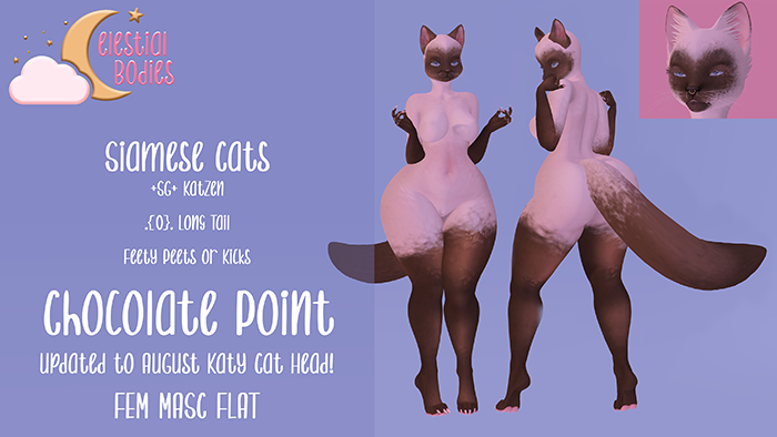 "+Celestial Bodies+" Siamese Cat - Chocolate Point