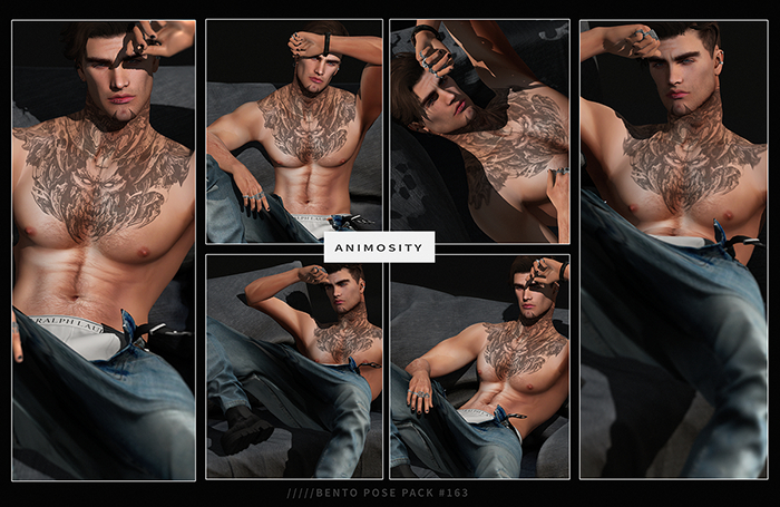 Animosity - 163 Pose Pack 