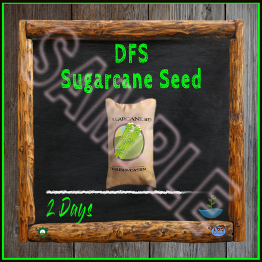 TEXTURE - DFS Sugarcane Seed (Full Perm)