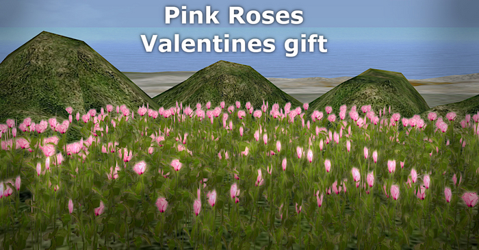 Pink Roses Over the Moon Valentines gift
