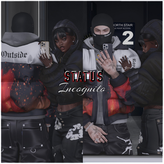 STATUS ~ Incognito