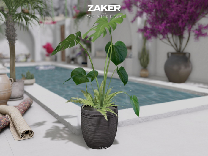 ZAKER : Azur Potted Plant 