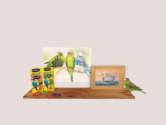 Wall Decor parakeet