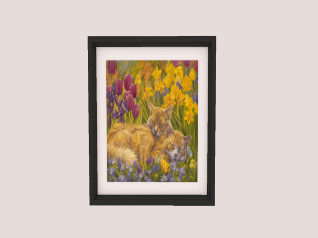 Frame Cat 2
