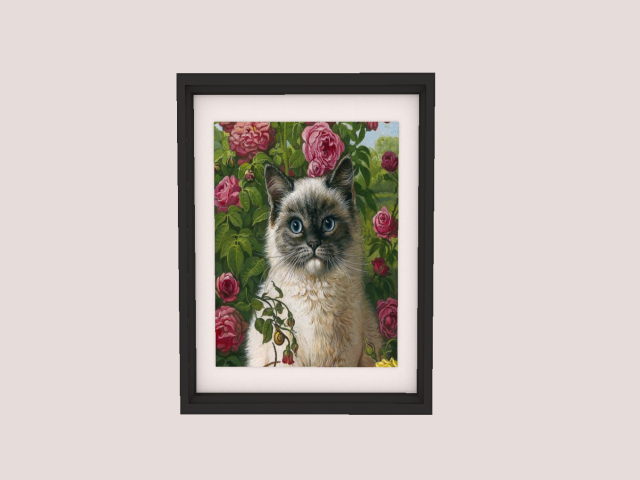 Frame Cat 3