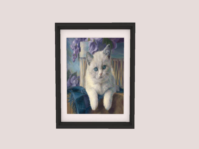 Frame Cat 4