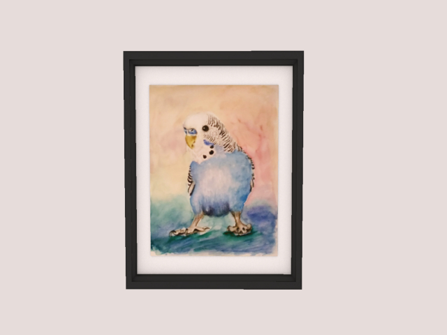 Frame Parakeet