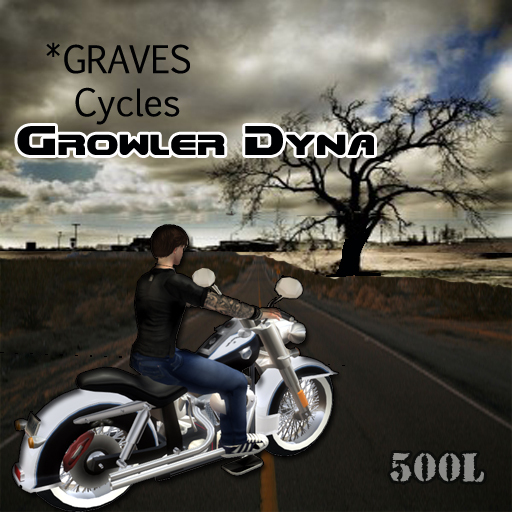 *GRAVES Cycles - DYNA - 2011-BOXED