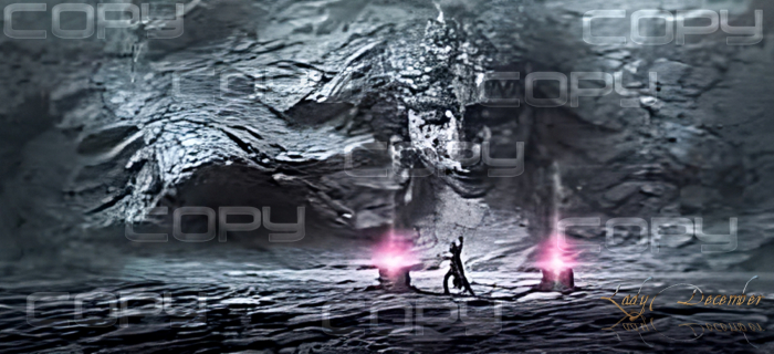 CED Photography Feel My Power Set