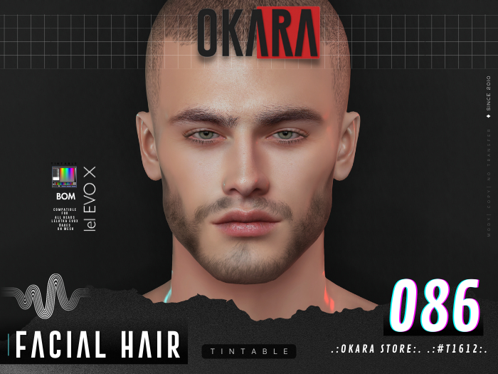 .:OKARA STORE:. .:#T1612:. BEARD-2K22-BOM-086 evoX