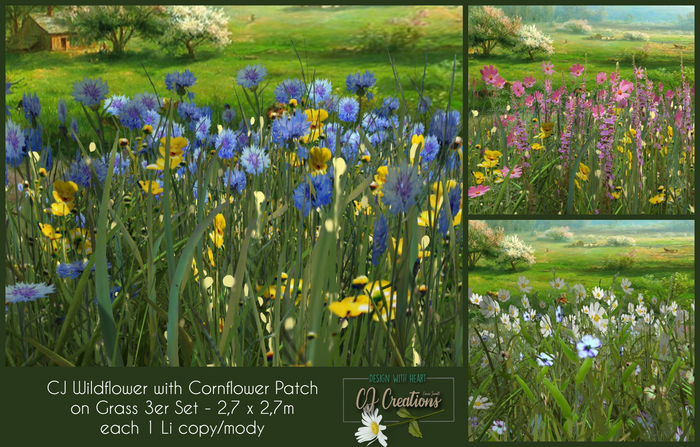 CJ Wildflower with Cornflower Patch on Grass 3er Set