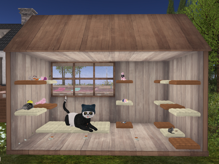 {N&N}House KittyCats 17 seating.