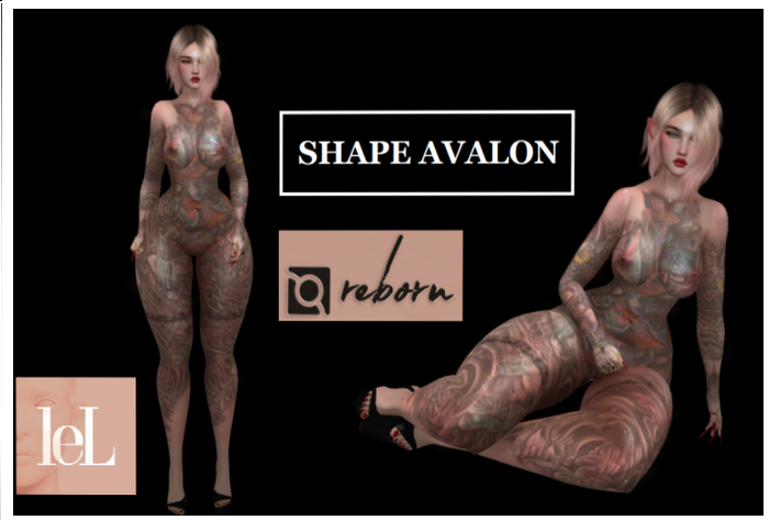 SHAPE REBORN  AVALON