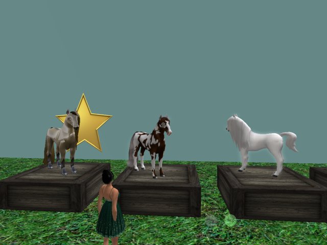 Basic Auction Set Boxed