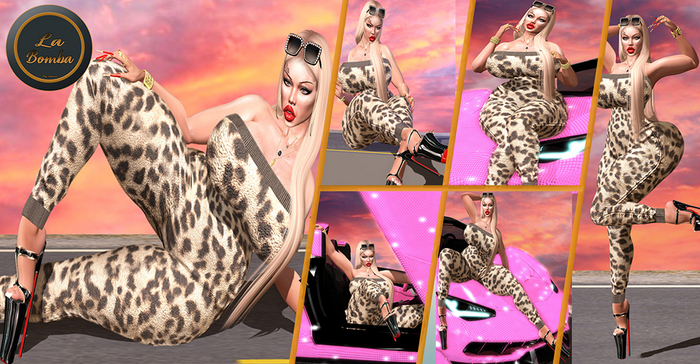 { La Bomba } Perch poses 