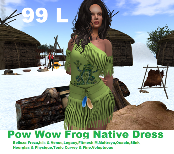 Pow Wow Frog Dress