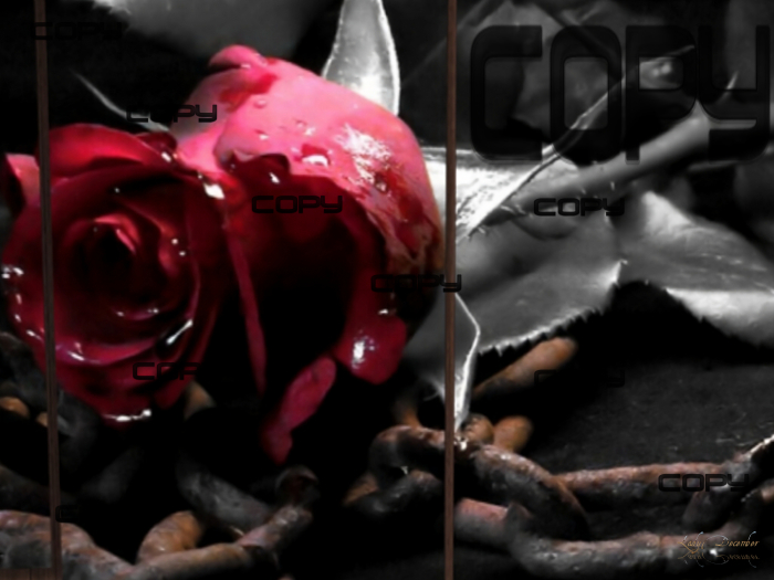 Broken 1.5x1.5