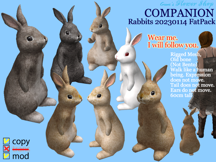 (g.) Companion Rabbits 2023 Jan FatPack