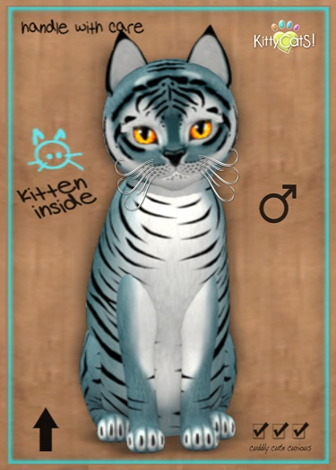MEGAPUSS: KittyCatS Box - Tiger! - Dusky Blue - MegaPuss