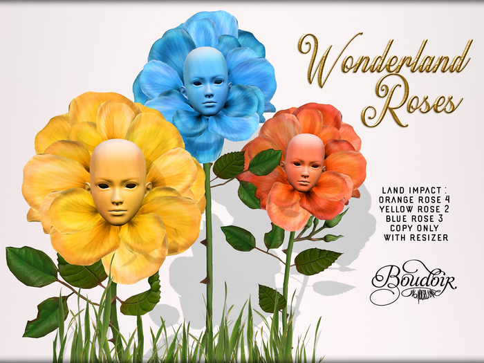 Boudoir-Wonderland Roses 2