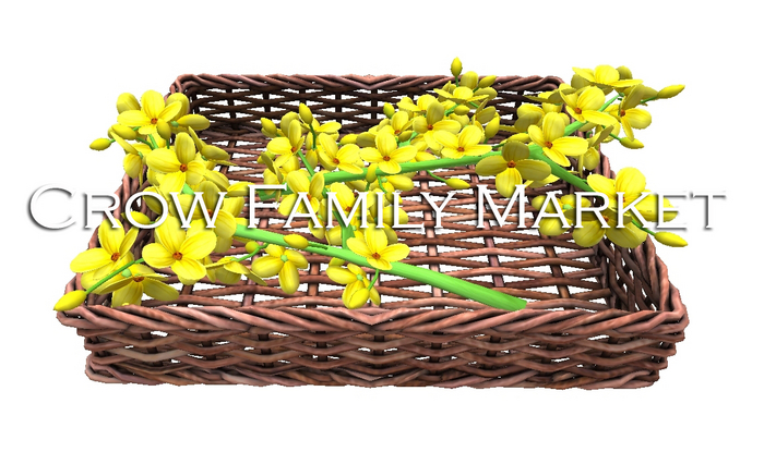 DFS Raw Mustard Basket