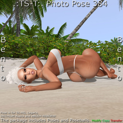 .:TS-T:. Photo Pose 384 Bento