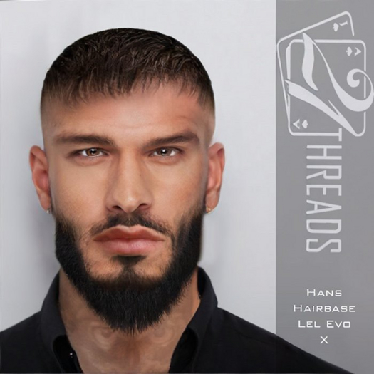 21 T Hans Hairbase Lel Evo X Brown