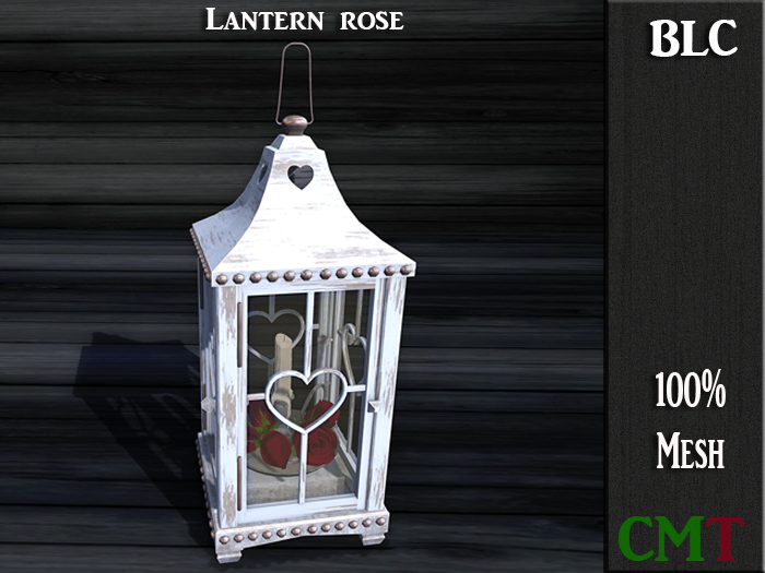 BLC Lantern rose
