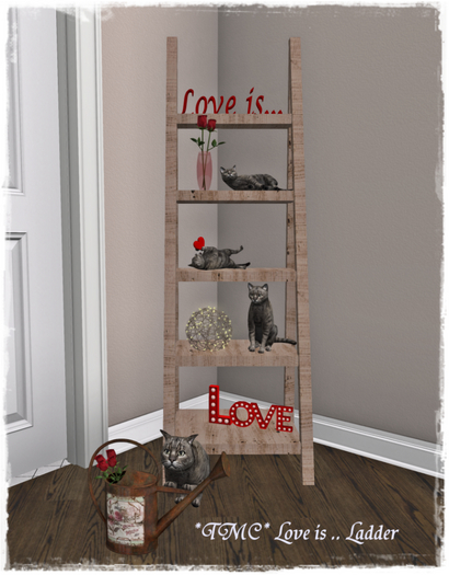 ~TMC~ Love is .. Ladder