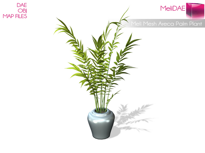 Dae, Obj, FBX, And Texture Files Mesh Areca Palm Plant